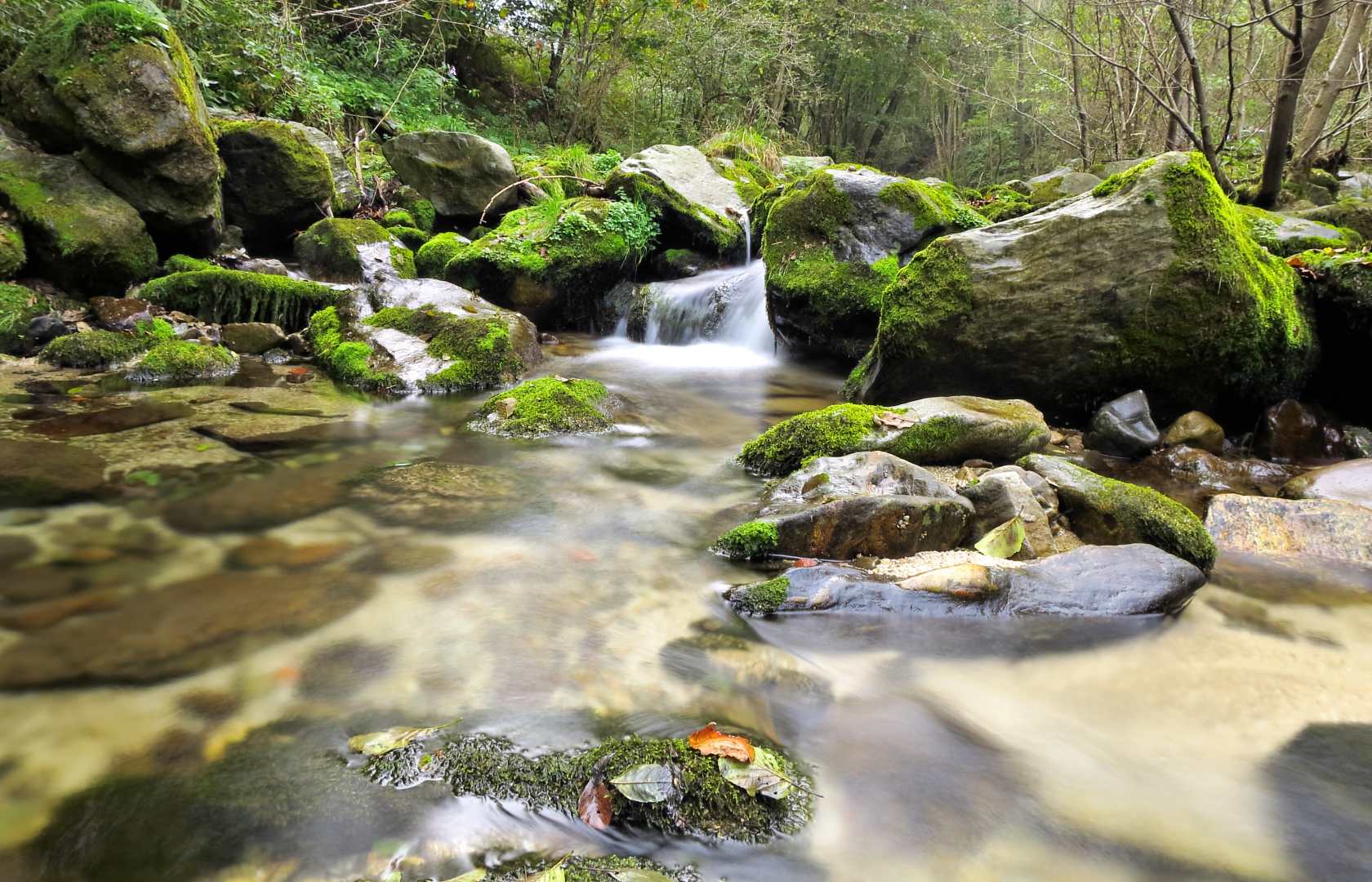 Nuove immagni del torrente Venenza